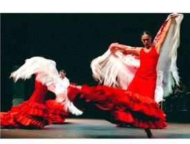 Unanimidad en el Congreso para que el flamenco sea Patrimonio de la Humanidad