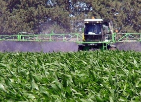 Estados Unidos estima una cosecha récord de soja para Argentina
