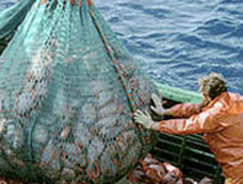España, golpeada por el veto que prepara Bruselas al comercio del atún rojo