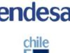 Endesa Chile obtuvo utilidad de $ 189.541 millones en 2006