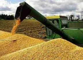Productores de granos persisten en retener la cosecha y sigue en caída la liquidación de divisas