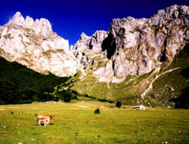 El I Festival Internacional de Montaña y Aventura Picos de Europa se celebrará en León