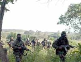 Ejército ecuatoriano informa el hallazgo de presuntas bases guerrilleras