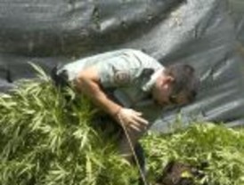 Nuevo fallo a favor de la despenalización