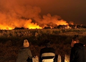Un incendio afecta la Reserva Ecológica 