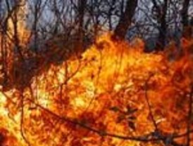 Incontrolables los incendios en las sierras de Córdoba