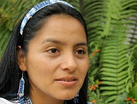 Indígenas misak son objetivo militar