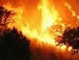 Los incendios forestales se redujeron un 80 % en España