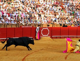 Fracasa la iniciativa popular para prohibir las corridas de toros en Andalucía, solo han logrado la mitad de las firmas