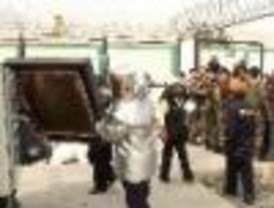 20 toneladas de droga fueron incinaredas este año