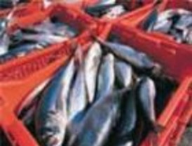 La política marítima con Marruecos funciona