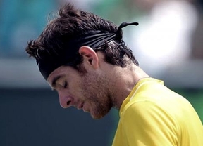 Del Potro se bajó de Roland Garros