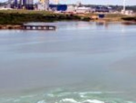 Apareció una mancha en el río Uruguay a la altura de Botnia