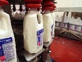 China: nuevos análisis no muestran contaminación en leche