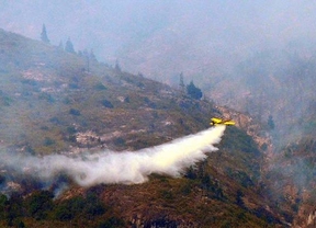 Ya se incendiaron dos mil hectáreas de bosques en Chubut
