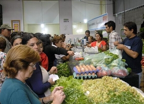 Proponen implantar 30 ferias en la Ciudad con productos del Mercado Central 