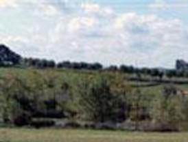 Piñeiro exhibe su plan frustrado para La Remonta