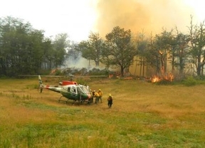 Ascienden a 15.000 hectáreas de bosque arrasadas en incendio en Chubut