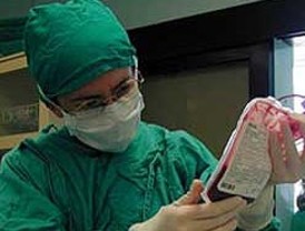 Científicos brasileños descubren células madre en trompas de Falopio