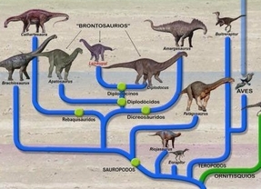 Hallan un brontosaurio en Argentina, único en sudamérica y el último viviente
