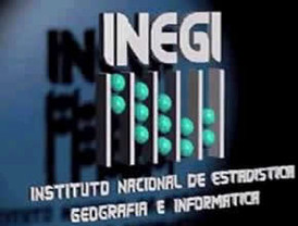 Se contrajo en un 8.5% la inversión fija bruta en enero