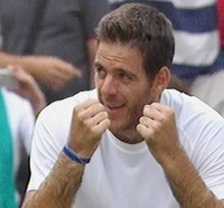 Del Potro venció a Ferrer y pasó a las semis de Wimbledon