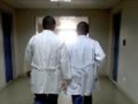 Ha registrado 13 casos del virus del hanta en 2008