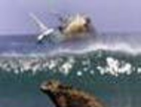 Piden que se declare a las Islas Galápagos como Patrimonio Natural en Peligro