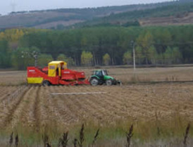 20 millones de hectáreas abandonadas