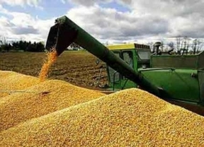 La AFIP detectó más de 350 mil toneladas de granos sin declarar