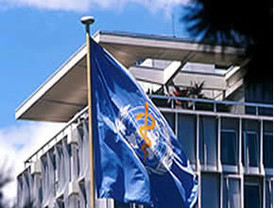 La gripe obliga a la OMS a matizar sus alertas para evitar el pánico