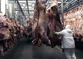 En el Mercado de Liniers reconocen que bajó el valor de la carne
