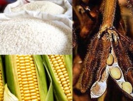 Ajustan precios para el productor del arroz, maíz y soya
