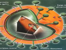México: participarán en congreso contra el VIH 30 países