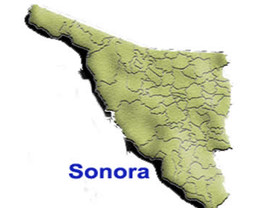 En votación abierta el PRI elegirá a su candidato a gobernador de Sonora