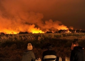 Lograron controlar el incendio en la Reserva Ecológica de Costanera Sur