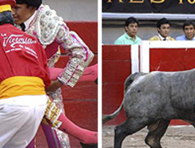 José Tomás sigue mejorando y se le retira la sedación