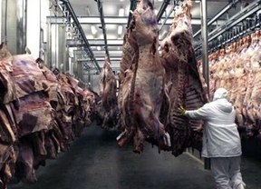 Los precios de la carne "se deberían retrotraer a la semana pasada"