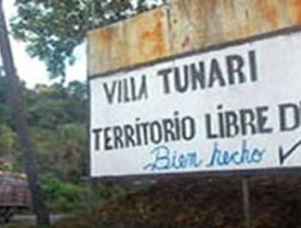 USAID habría invertido 250 millones en zona cocalera desde 1983