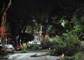 Seis personas heridas, árboles caídos y cortes de luz por el temporal en la Ciudad