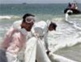 La extracción de fuel en el 'Don Pedro' empezará esta semana