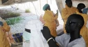 La OMS aplicará un procedimiento inmunológico argentino para tratar el ébola 