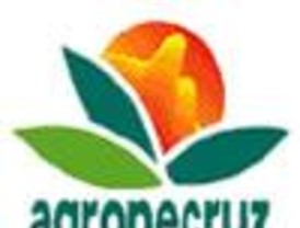 Arrancó la Feria AGROPECRUZ