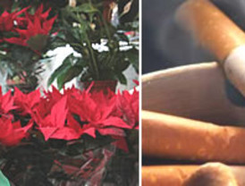 Euskadi aprueba su propia ley antitabaco, de la que se han eliminado las restricciones más polémicas