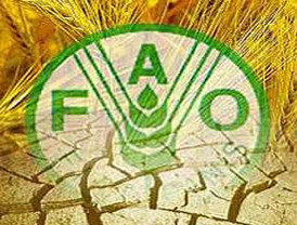 FAO pide dar mayor preeminencia a biotecnologías
