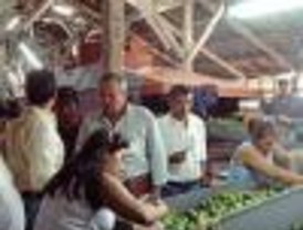 México decreta retención de contenedores de fruta chilena