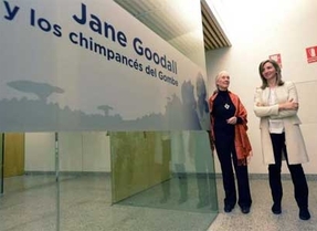 EL MEH se suma al Instituto Jane Goodall para impulsar desde Burgos el reciclaje de móviles usados