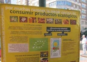 Decenas de personas visitan el V Mercado de Alimentos Ecológicos de la Plaza de España de Valladolid