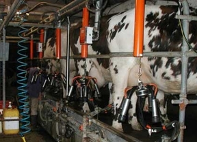 UPA y COAG ven 'inasumible' que los ganaderos de leche de CyL cobren lo mismo que hace 24 años 