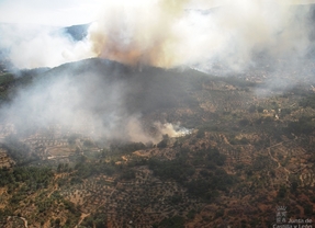 Continúa activo pero controlado el incendio forestal del término abulense de Mijares